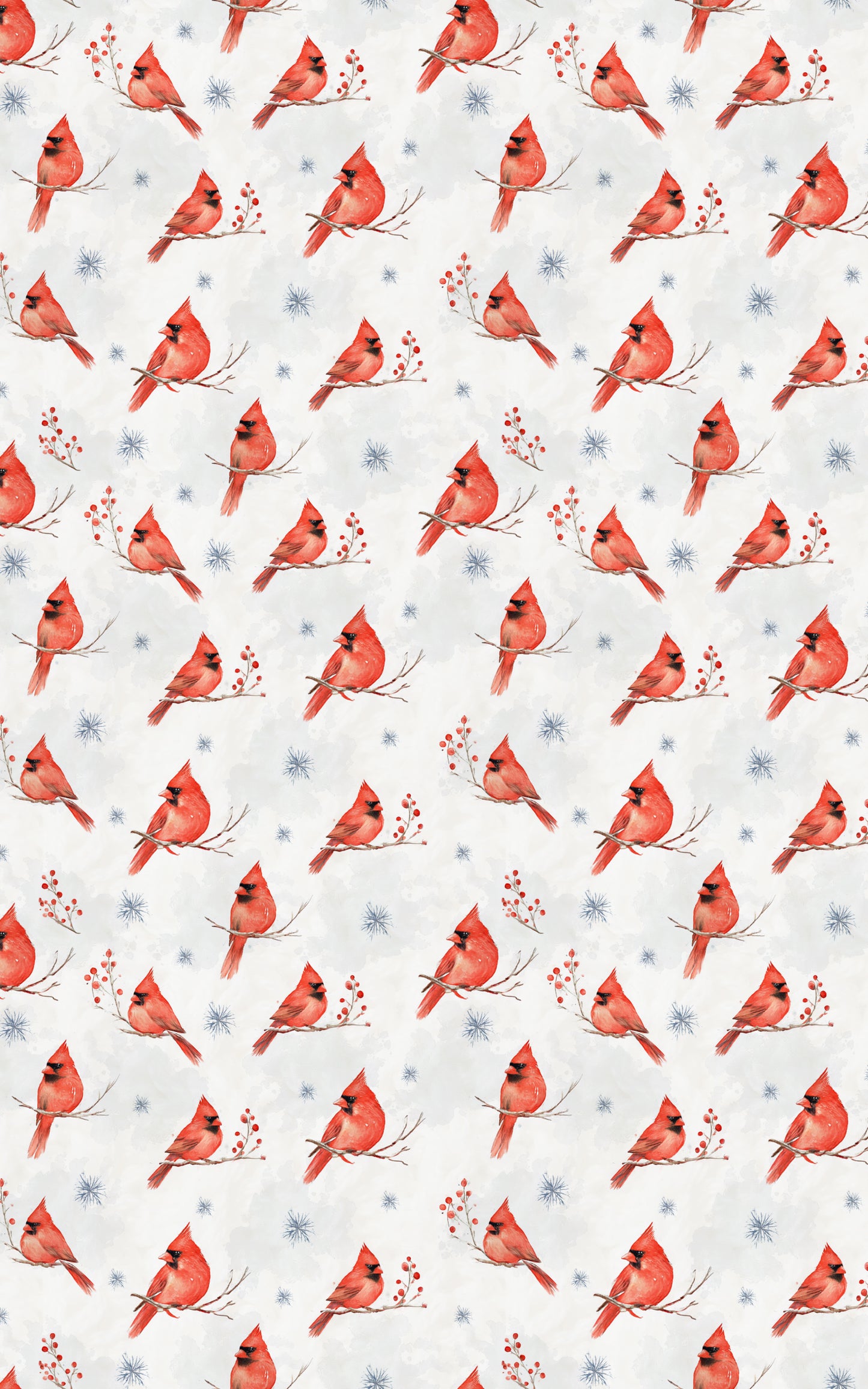 Winter Cardinals