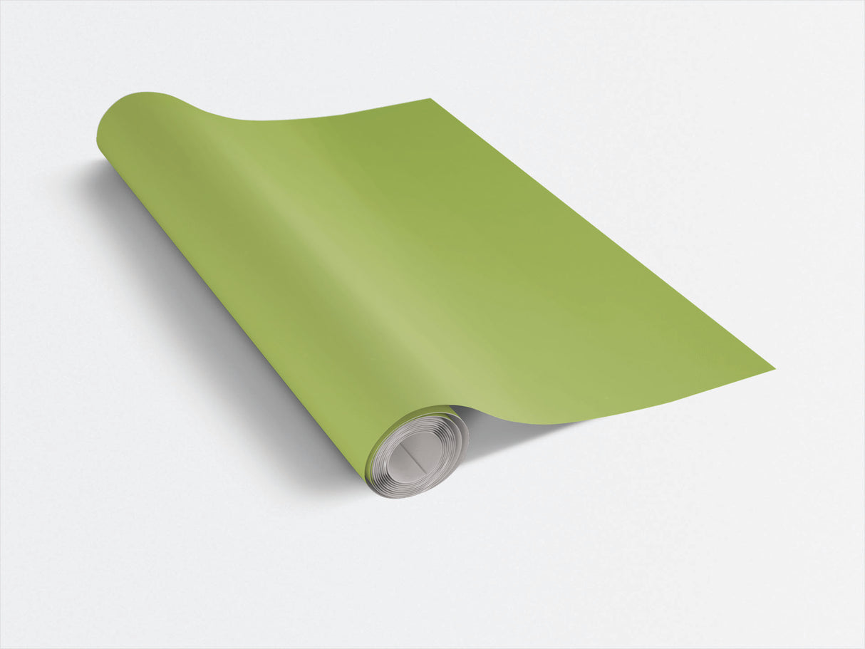 Spring Burst Green - London Penny Gift Wrap