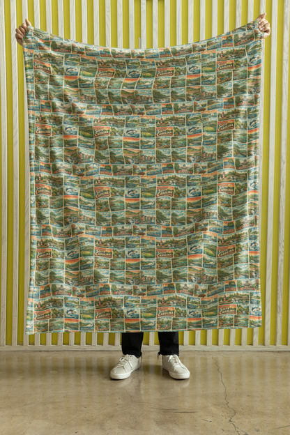 South Carolina Postcard Memories Sherpa Blanket