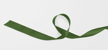 Olive Grove Ribbon - London Penny Gift Wrap