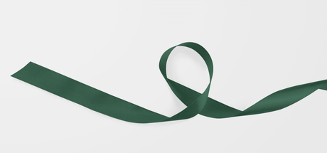 Evergreen Luxe Ribbon - London Penny Gift Wrap