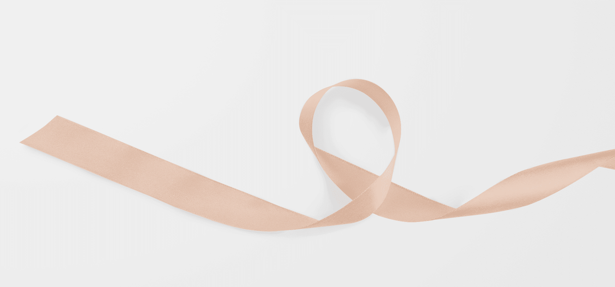 Blush Charm Ribbon - London Penny Gift Wrap