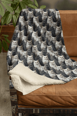 Persian Grace Sherpa Blanket - London Penny Gift Wrap