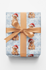 Wintertime Lioness - London Penny Gift Wrap