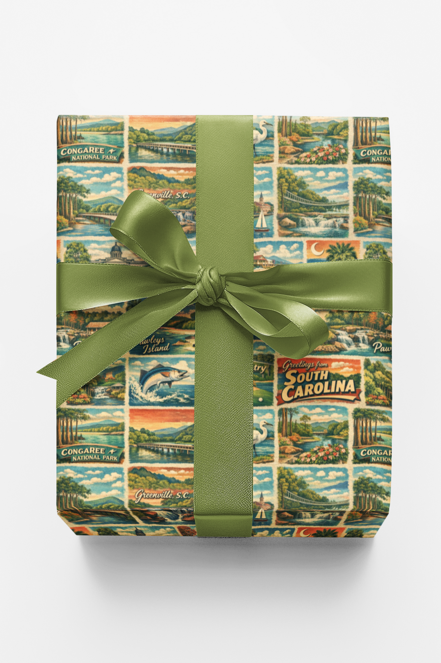 South Carolina Postcard Memories