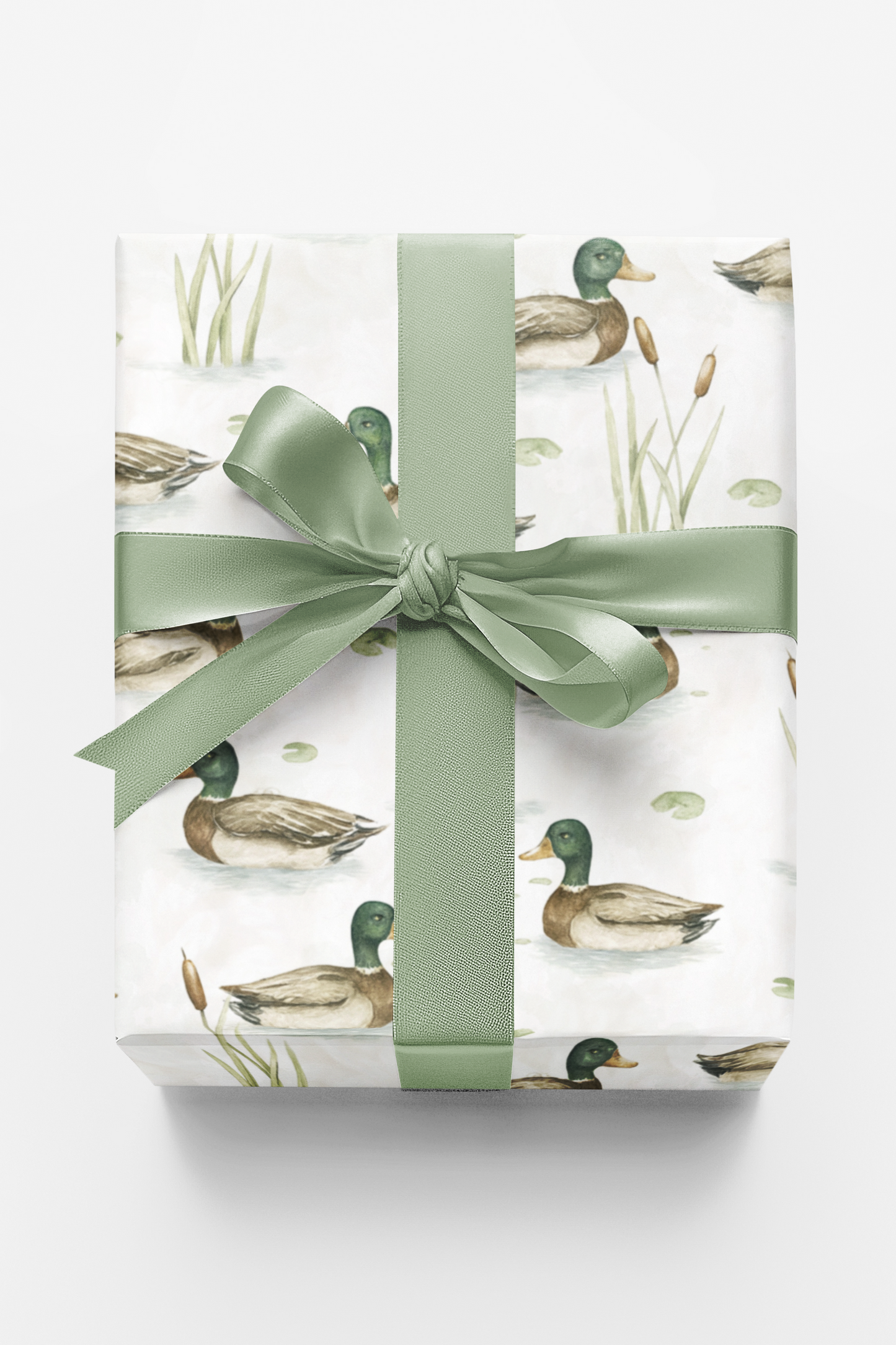 Feathers by the Lake