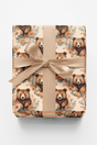 Botanic Bears - London Penny Gift Wrap