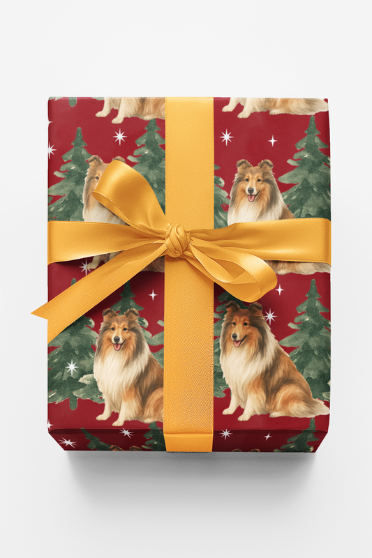 Collie in Winter Pines