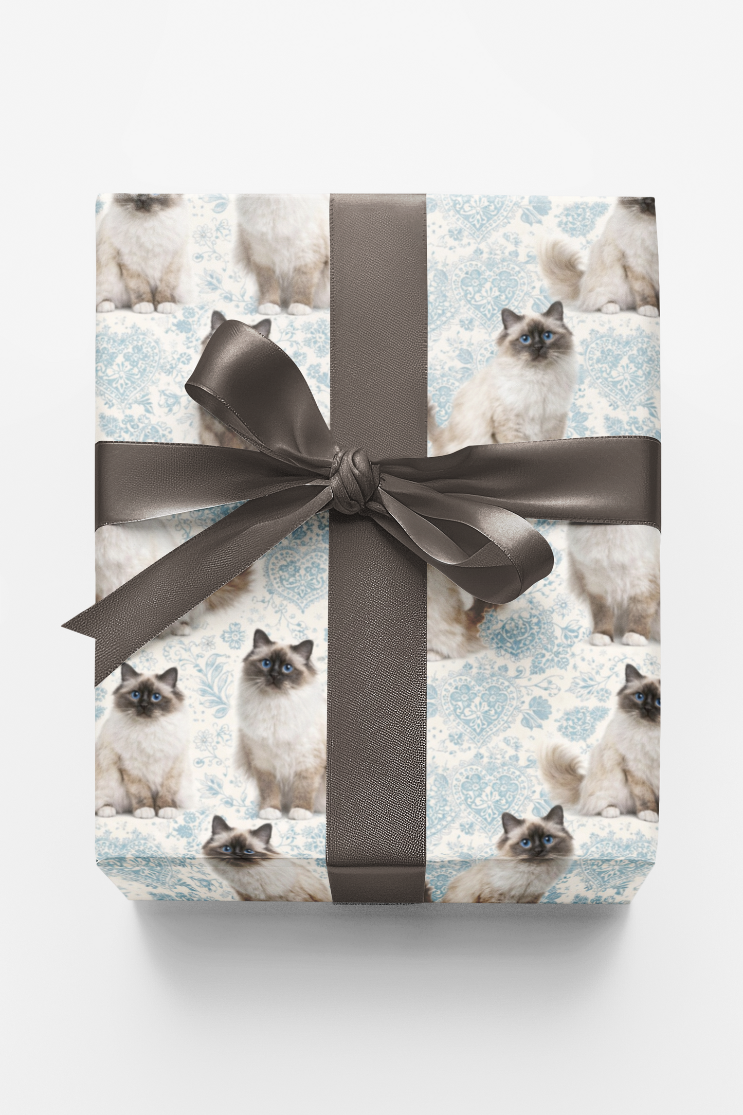 Birman Blue Elegance