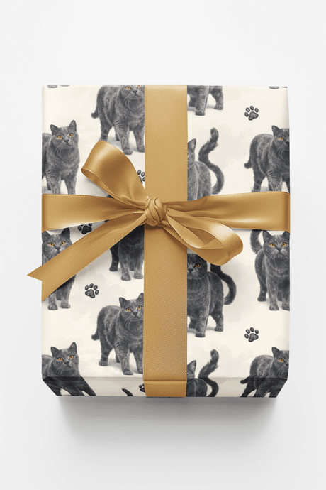 Chartreux Charcoal - London Penny Gift Wrap