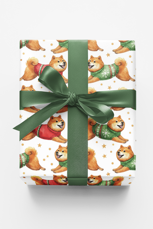 Shiba in Holiday Motion