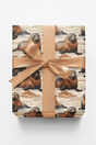 Safari Stroll: Sea Lion - London Penny Gift Wrap