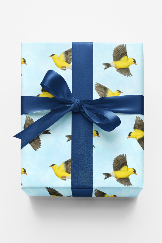 The Finch’s Song