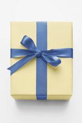 Harbor Mist Ribbon - London Penny Gift Wrap