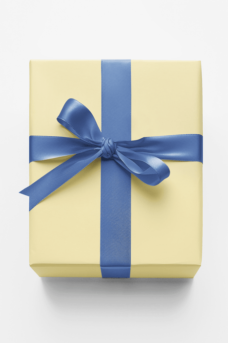 Harbor Mist Ribbon - London Penny Gift Wrap