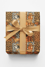 Safari Snouts - London Penny Gift Wrap