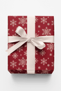 Frosted Snowflake Lace - London Penny Gift Wrap