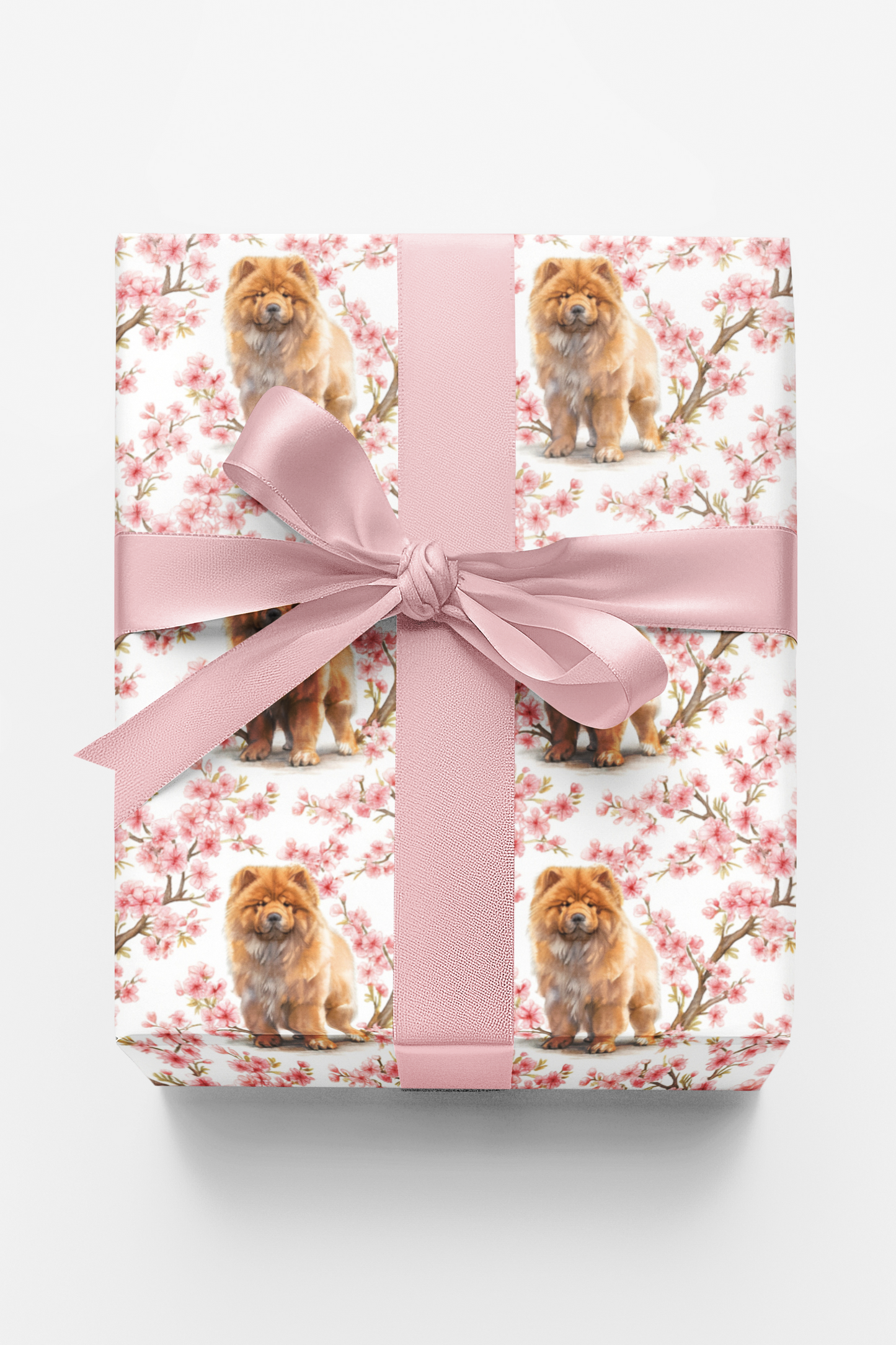 Chow Chow Cherry Blossom