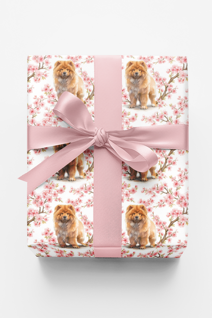 Chow Chow Cherry Blossom