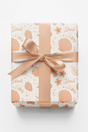 Coastal Shells - London Penny Gift Wrap