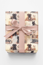 Cozy Reading Nook (Cane Corso) Wrapping Paper - London Penny Gift Wrap