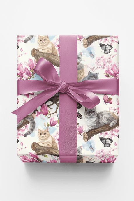 Spring Blossom Cats (Exotic Shorthair) Wrapping Paper - London Penny Gift Wrap