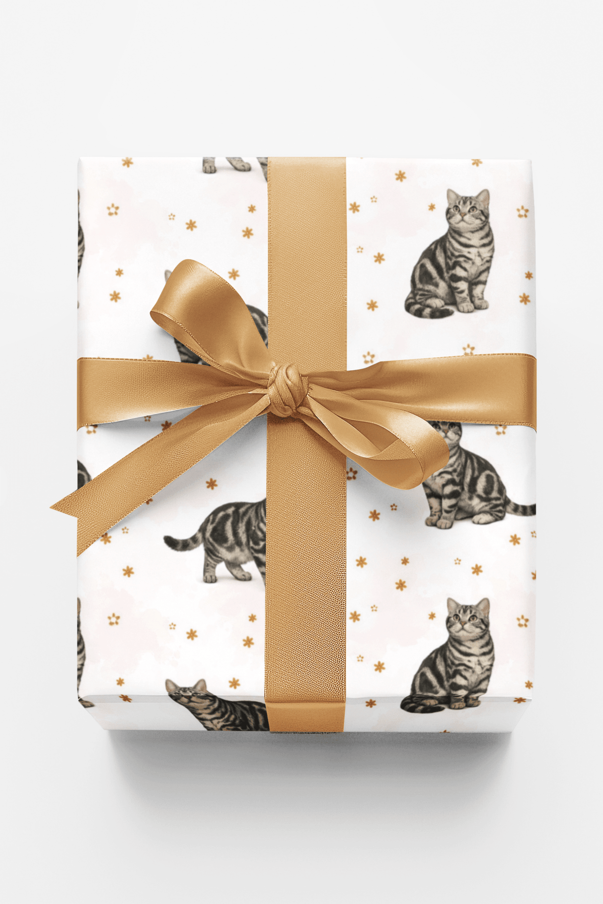 American Shorthair Classic - London Penny Gift Wrap