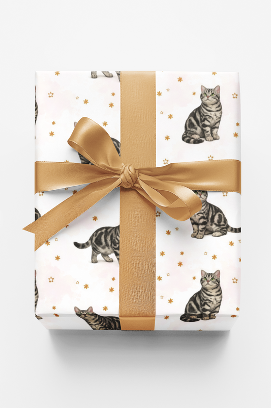 American Shorthair Classic