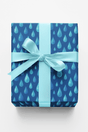 April Showers Raindrops - London Penny Gift Wrap