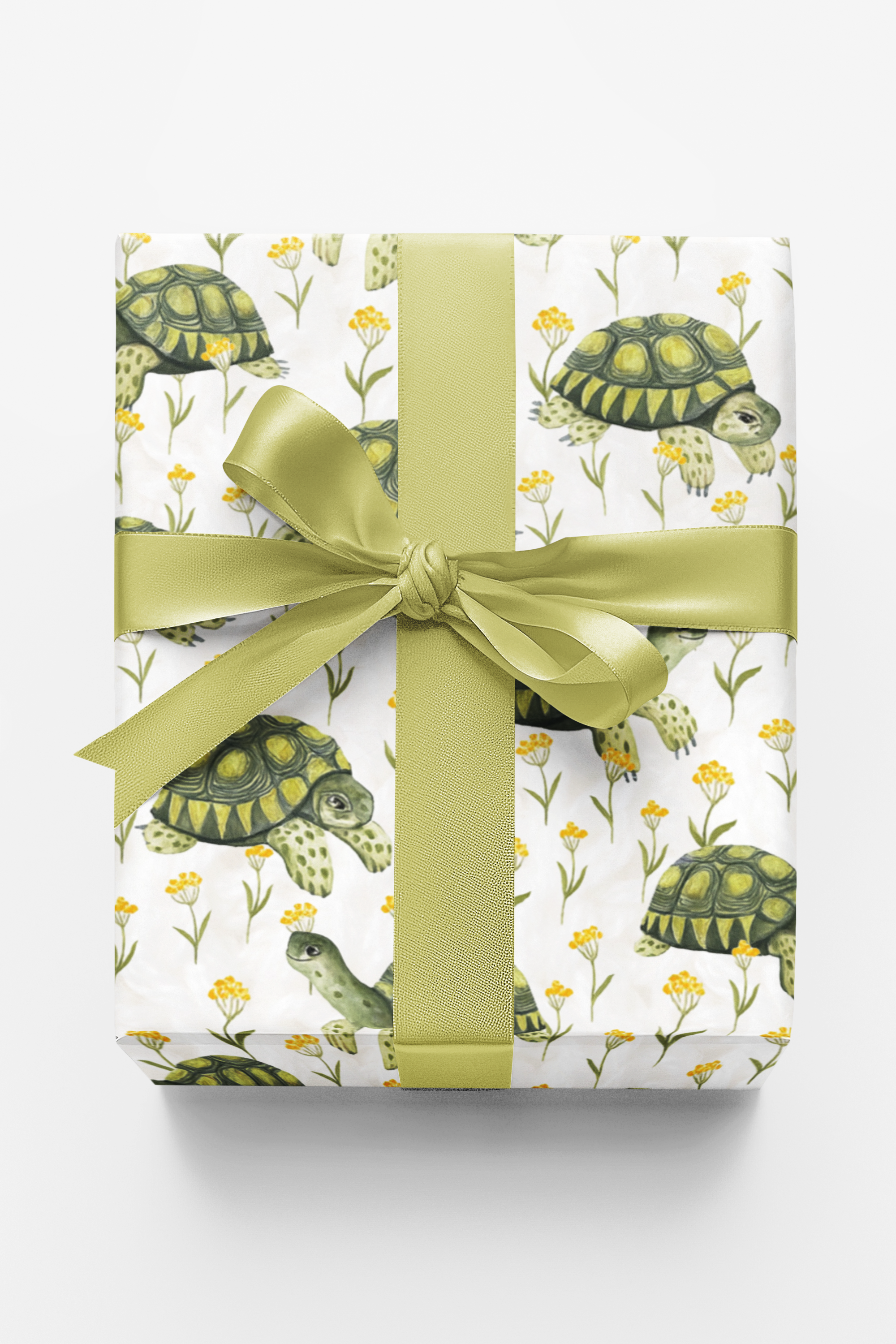 Shellabration Stroll Wrapping Paper – London Penny Gift Wrap