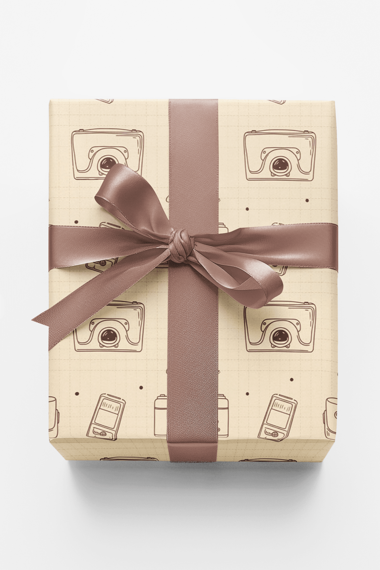 Vintage Cameras - London Penny Gift Wrap