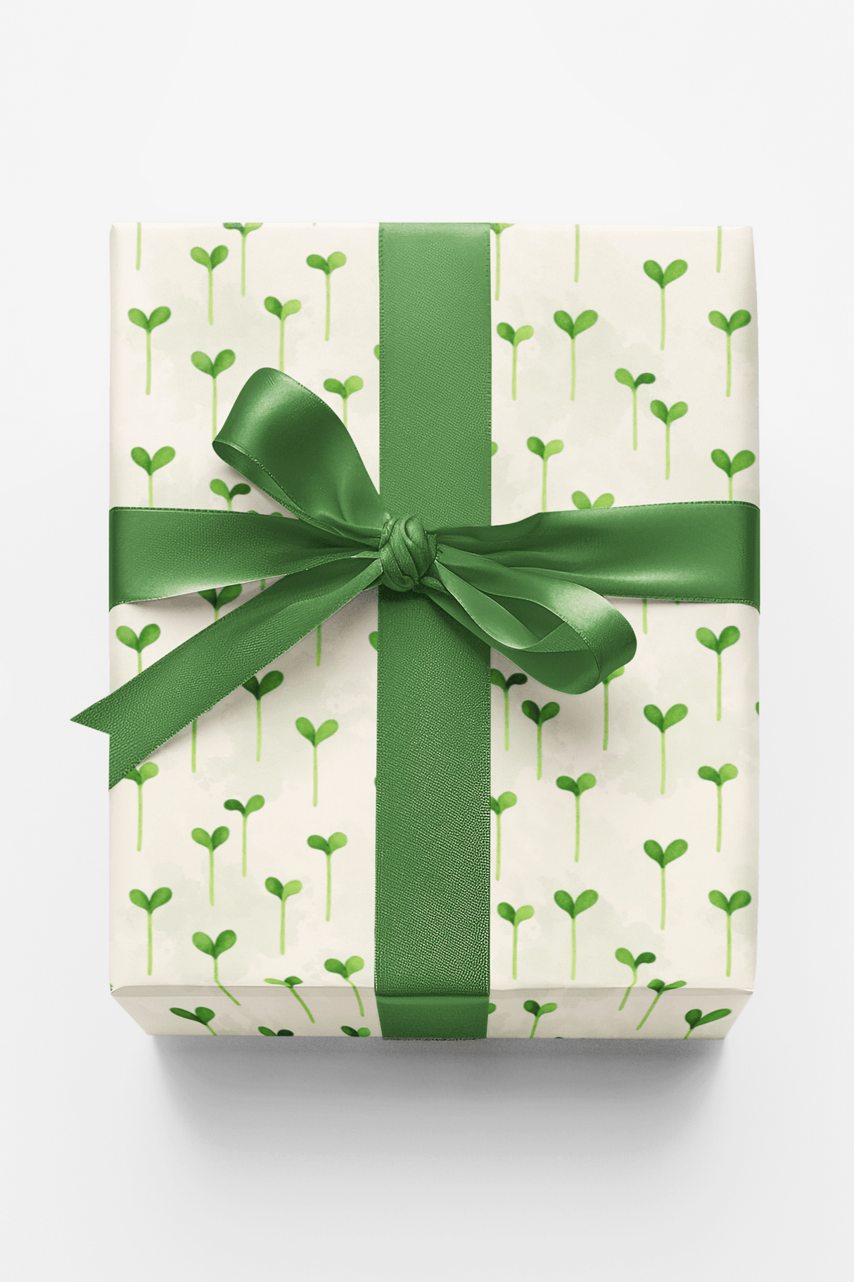 Sprouting Seeds Pattern - London Penny Gift Wrap