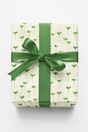 Sprouting Seeds Pattern - London Penny Gift Wrap