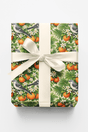 Florida Flora & Fauna - London Penny Gift Wrap