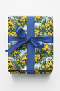 Oregon Flora & Fauna - London Penny Gift Wrap