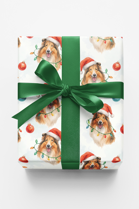 Snowlight Collie