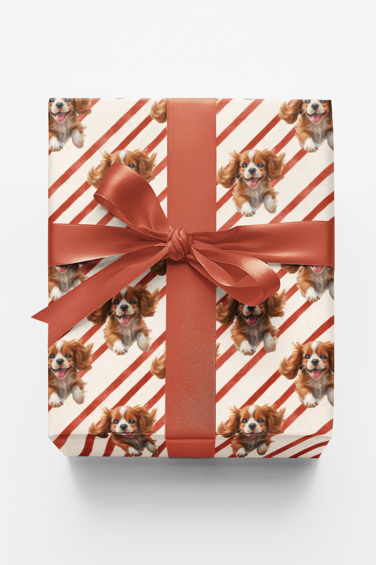 Cavalier Candy Cane