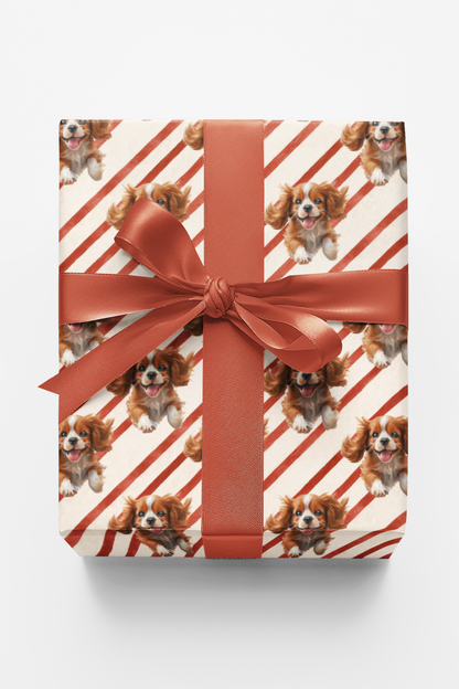 Cavalier Candy Cane