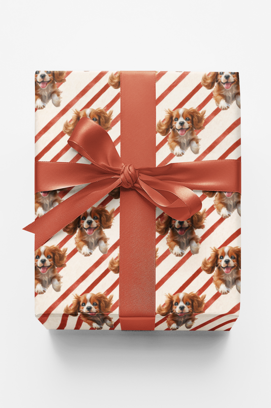 Cavalier Candy Cane