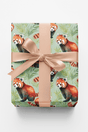 Safari Stroll: Red Panda - London Penny Gift Wrap