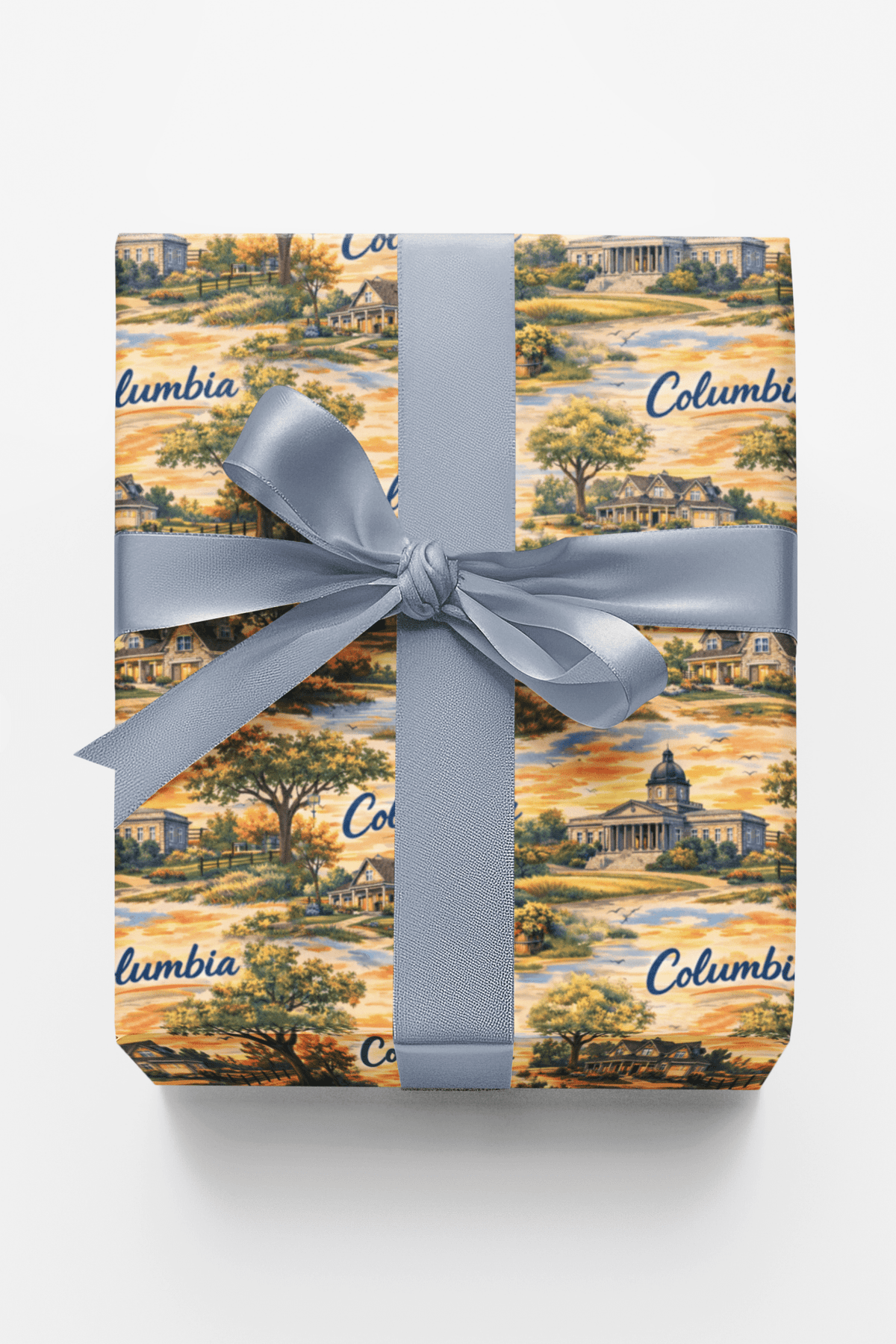 Columbia SC Southern Capitol - London Penny Gift Wrap