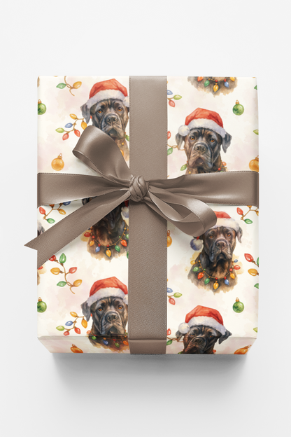 Pawliday Protector