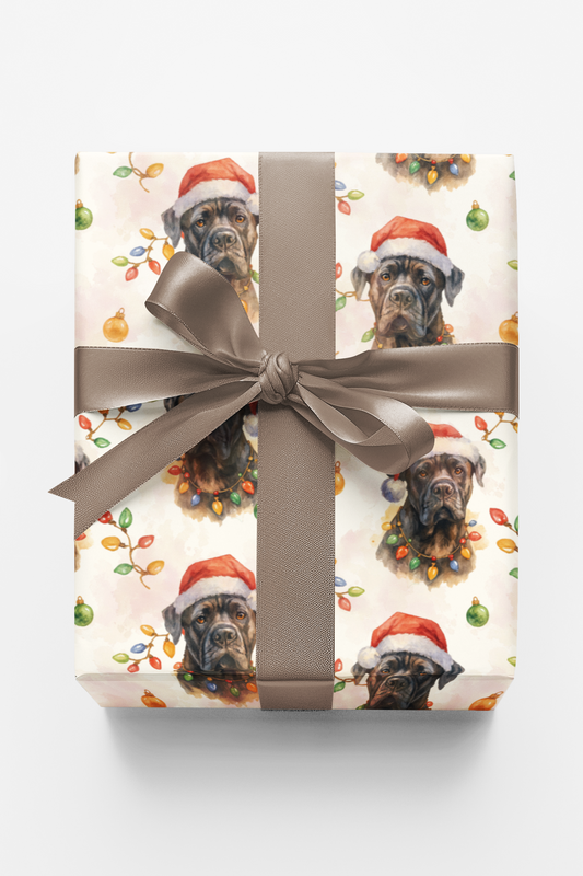 Pawliday Protector
