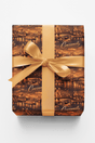 Cincinnati Queen City Lights II - London Penny Gift Wrap