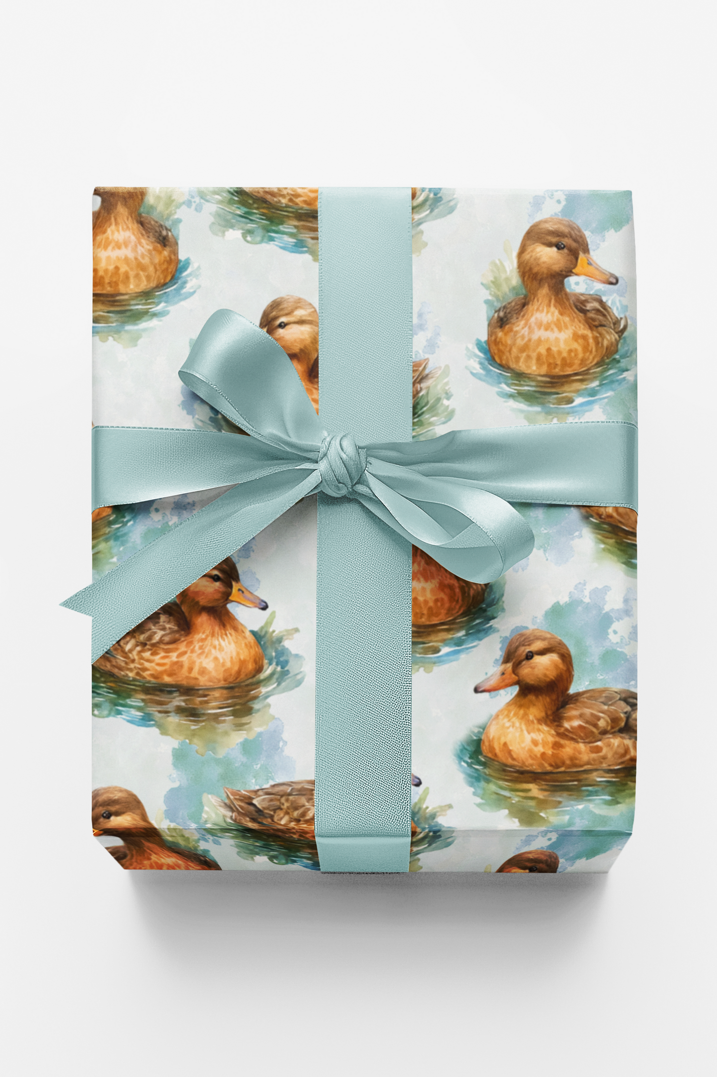 Ripples & Feathers