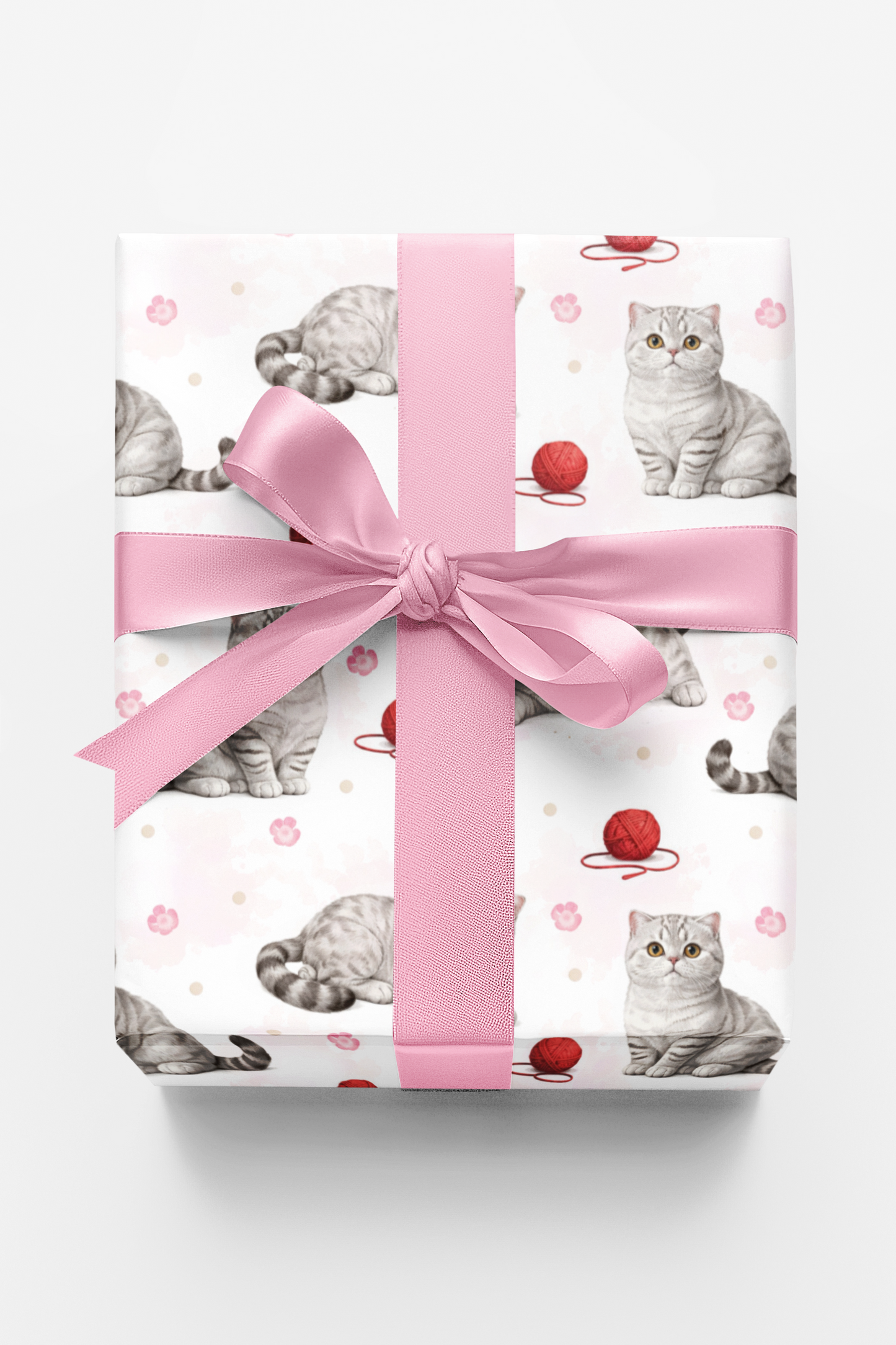 Scottish Fold Dots