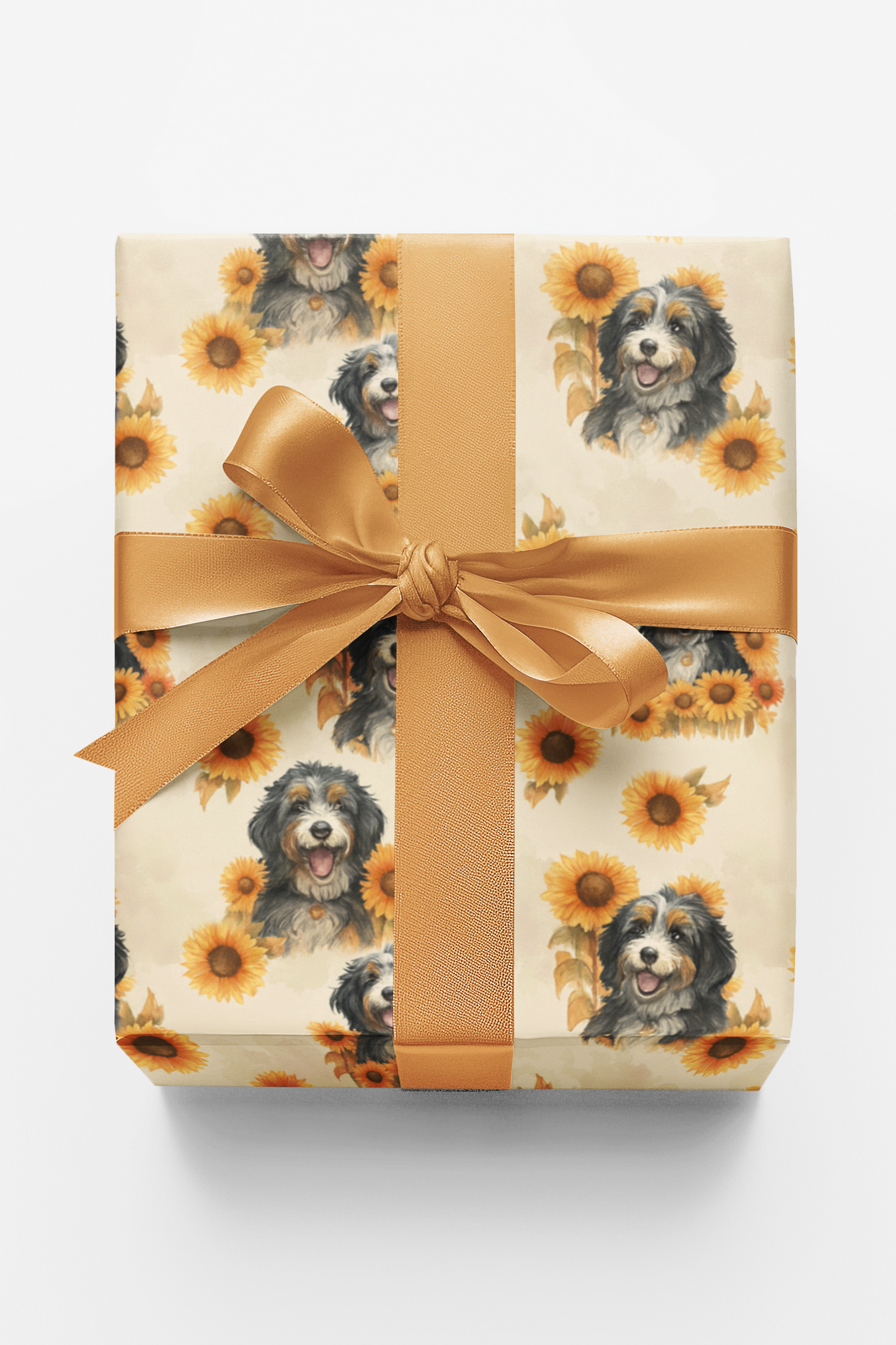 Bernedoodle in Bloom