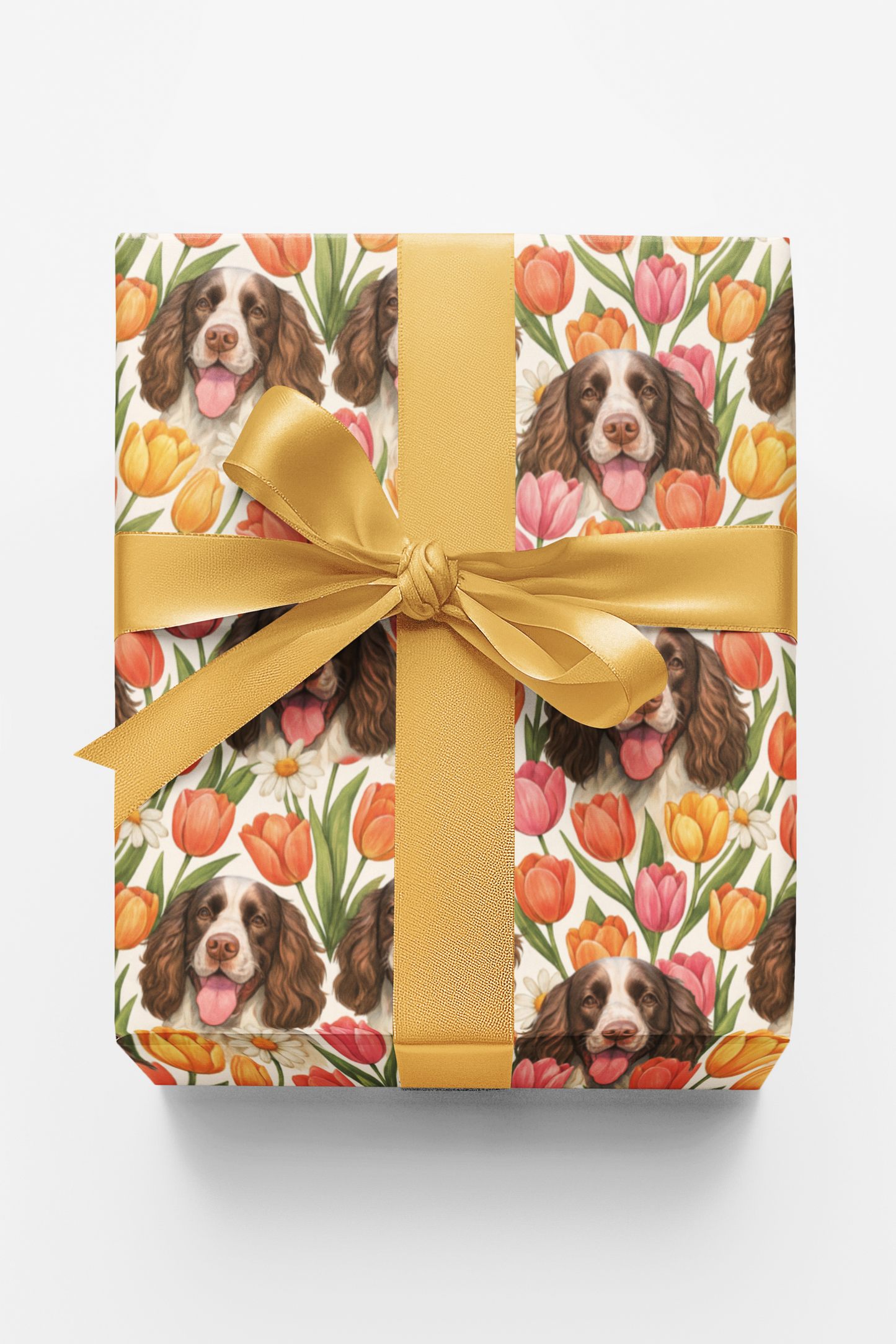 Spring Spaniel