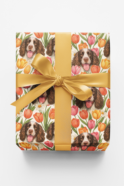 Spring Spaniel