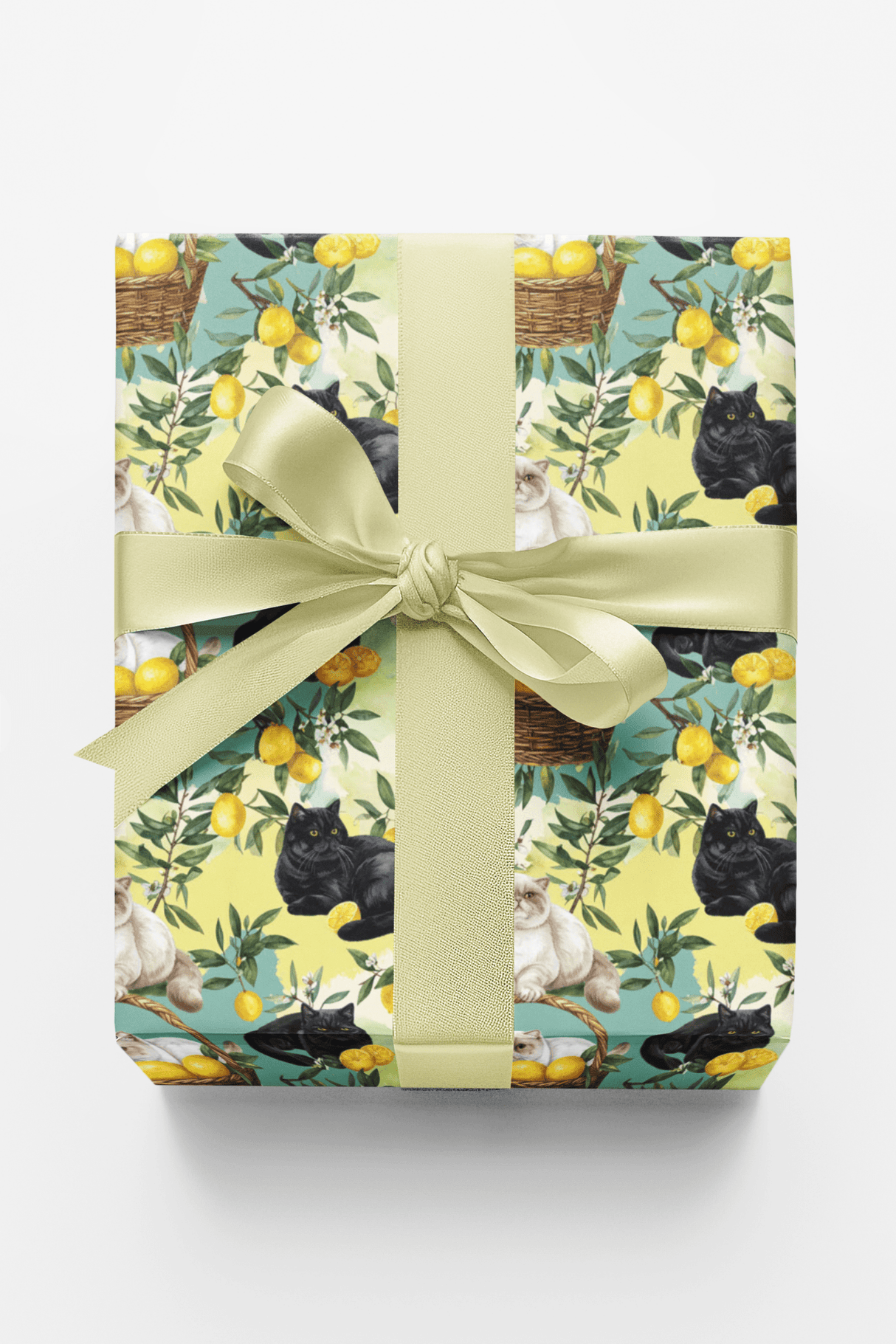 Lemon Orchard Cats (Exotic Shorthair) Wrapping Paper - London Penny Gift Wrap